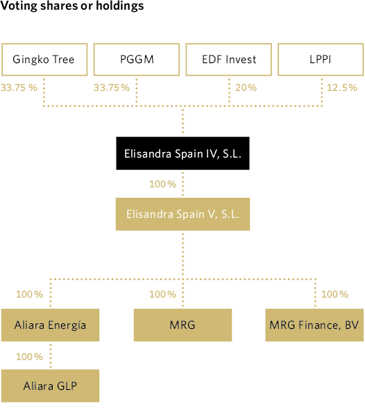 Voting shares or holdings
