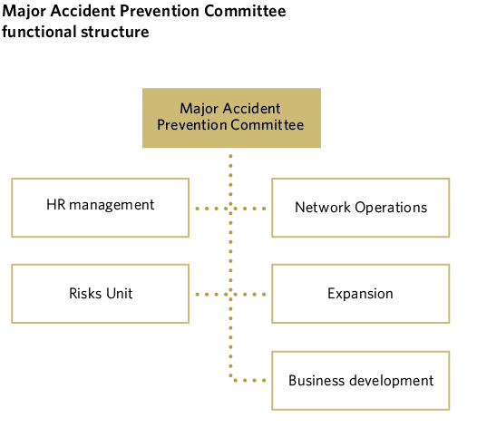 Major Accident Prevention Committee functional structure